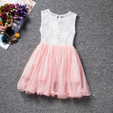2017 New Lace Princess Dress Girl Children Clothing Teen School Girls Dresses Summer Kids Clothes for Girl Tutu Birthday Dress - Appu & Appi