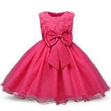 Infant Princess Baptism Dress For Girl Kids Festival Party Wear Baby Girl 1st Birthday Outfits Newborn Bebes Christening Gowns - Appu & Appi