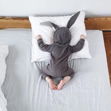 New Spring Autumn Baby Rompers Cute Cartoon Rabbit Infant Girl Boy Jumpers Kids Baby Outfits Clothes - Appu & Appi