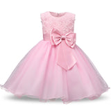 Brand Toddler Girl Baptism Clothes Girl Newborn Baby Christening Gown Dress For Girl Kids Party Wear 1 2 Years Birthday Outfits - Appu & Appi