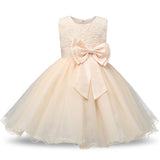 Brand Toddler Girl Baptism Clothes Girl Newborn Baby Christening Gown Dress For Girl Kids Party Wear 1 2 Years Birthday Outfits - Appu & Appi