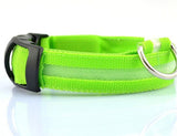 Nyylon LED Pet Dog Collar,Night Safety Flashing Glow In The Dark Dog Leash,Dogs Luminous Fluorescent Collars Pet Supplies - Appu & Appi