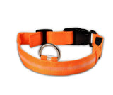 Nyylon LED Pet Dog Collar,Night Safety Flashing Glow In The Dark Dog Leash,Dogs Luminous Fluorescent Collars Pet Supplies - Appu & Appi