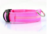 Nyylon LED Pet Dog Collar,Night Safety Flashing Glow In The Dark Dog Leash,Dogs Luminous Fluorescent Collars Pet Supplies - Appu & Appi