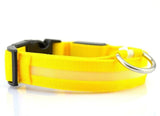Nyylon LED Pet Dog Collar,Night Safety Flashing Glow In The Dark Dog Leash,Dogs Luminous Fluorescent Collars Pet Supplies - Appu & Appi