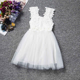 Flower Baby Girls Princess Dress Girl Dresses Summer Children Clothing Casual School Toddler Kids Girl Dress for Girls Clothes - Appu & Appi