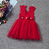 Flower Baby Girls Princess Dress Girl Dresses Summer Children Clothing Casual School Toddler Kids Girl Dress for Girls Clothes - Appu & Appi