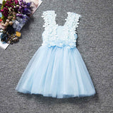 Flower Baby Girls Princess Dress Girl Dresses Summer Children Clothing Casual School Toddler Kids Girl Dress for Girls Clothes - Appu & Appi