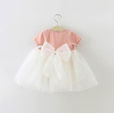 HE Hello Enjoy Baby Girl Dress 1 year birthday dress lace infant baptism vestido infantil bowknot princess wedding dress - Appu & Appi