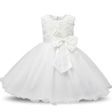 Aini Babe 1 Year Birthday Party Little Dress Baby Girl Christening Gowns Kids Events Party Wear Clothes Girls Boutique Clothing - Appu & Appi
