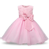 Aini Babe 1 Year Birthday Party Little Dress Baby Girl Christening Gowns Kids Events Party Wear Clothes Girls Boutique Clothing - Appu & Appi