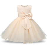Aini Babe 1 Year Birthday Party Little Dress Baby Girl Christening Gowns Kids Events Party Wear Clothes Girls Boutique Clothing - Appu & Appi
