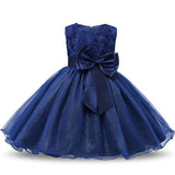 Aini Babe 1 Year Birthday Party Little Dress Baby Girl Christening Gowns Kids Events Party Wear Clothes Girls Boutique Clothing - Appu & Appi