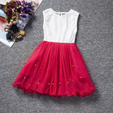 2017 New Lace Princess Dress Girl Children Clothing Teen School Girls Dresses Summer Kids Clothes for Girl Tutu Birthday Dress - Appu & Appi