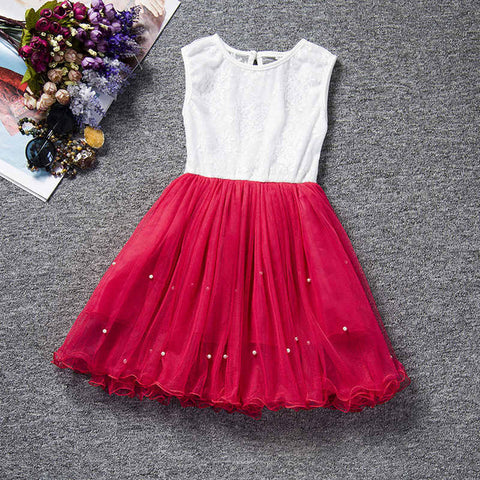 2017 New Lace Princess Dress Girl Children Clothing Teen School Girls Dresses Summer Kids Clothes for Girl Tutu Birthday Dress - Appu & Appi