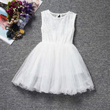 2017 New Lace Princess Dress Girl Children Clothing Teen School Girls Dresses Summer Kids Clothes for Girl Tutu Birthday Dress - Appu & Appi
