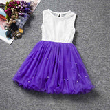 2017 New Lace Princess Dress Girl Children Clothing Teen School Girls Dresses Summer Kids Clothes for Girl Tutu Birthday Dress - Appu & Appi