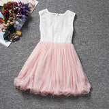 2017 New Lace Princess Dress Girl Children Clothing Teen School Girls Dresses Summer Kids Clothes for Girl Tutu Birthday Dress - Appu & Appi