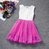 2017 New Lace Princess Dress Girl Children Clothing Teen School Girls Dresses Summer Kids Clothes for Girl Tutu Birthday Dress - Appu & Appi