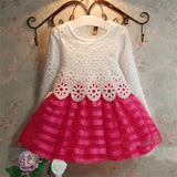 New 2017 Girls Dresses Fashion Casual Summer Lace crochet Tutu Dress Kids Girl Party Clothes for 2-6Y Children Vetement Fille - Appu & Appi