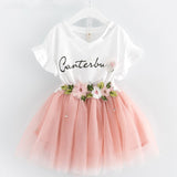 Fashion Autumn Long Sleeve Girls Dress 2017 New Casual Style Girls Clothes Cartoon Rabbit Embroidery Cotton Dress Kids Clothes - Appu & Appi