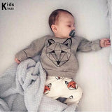 RY-166 New style cotton newborn set cartoon fox printed baby costume spring autumn t-shirt+ pants 2 pcs clothes for bebes 2017 - Appu & Appi